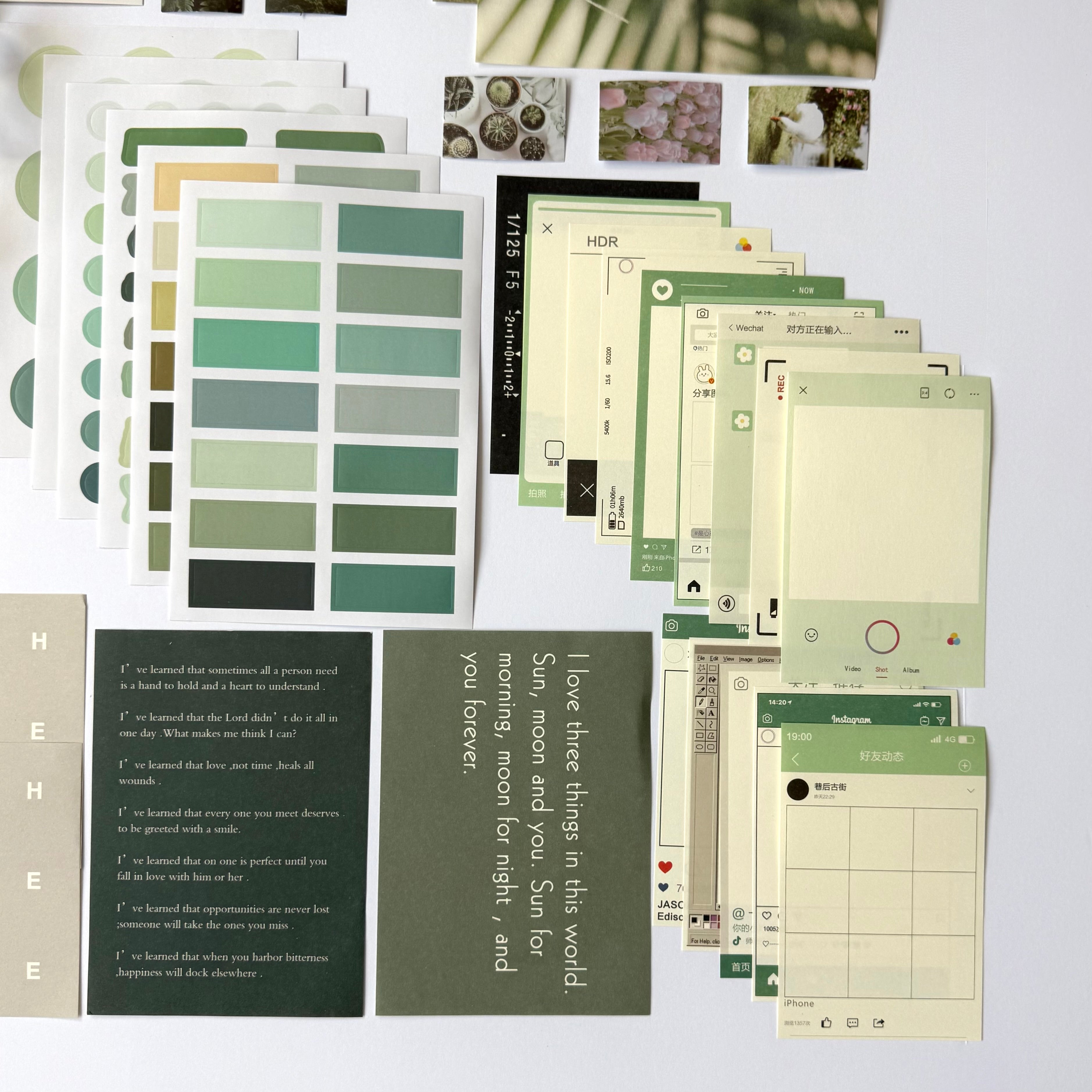 🌿 Nature Memory Collection — Luxury Collage Kit (64 pcs)