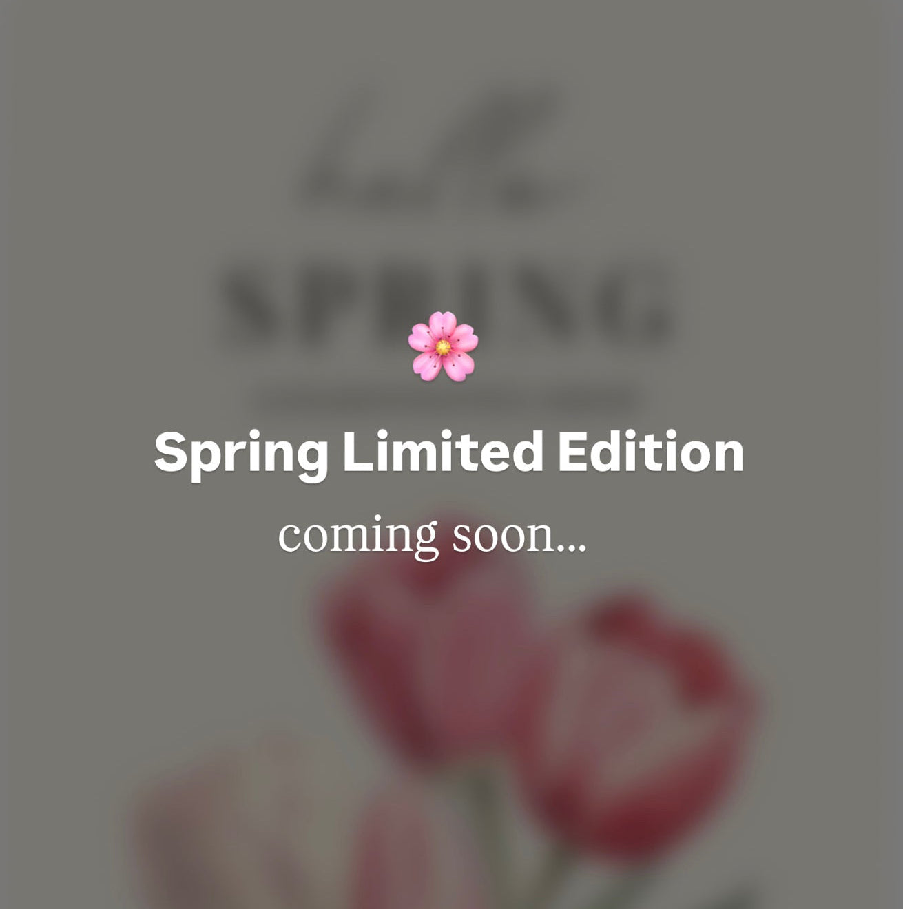 🌸 Spring Limited Edition Box