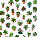 Plant Lover Sticker Pack 🌿💚 - 50 pcs